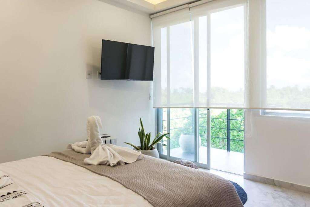 Luxury Studio In Πλάγια Ντελ Κάρμεν Εξωτερικό φωτογραφία